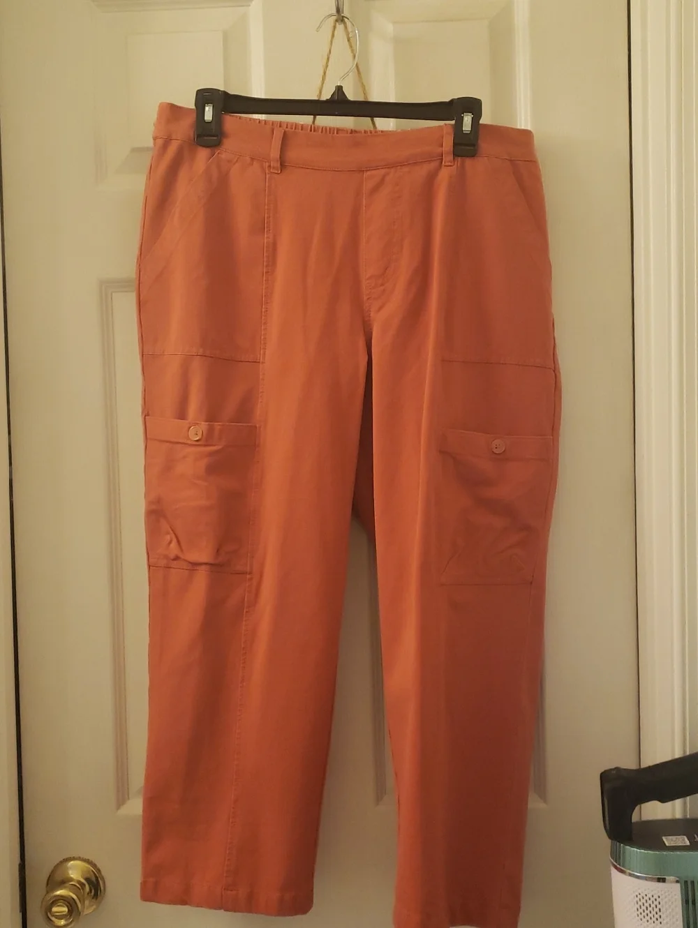 Any Body Cropped Cargo Pants in Rust Orange for Women